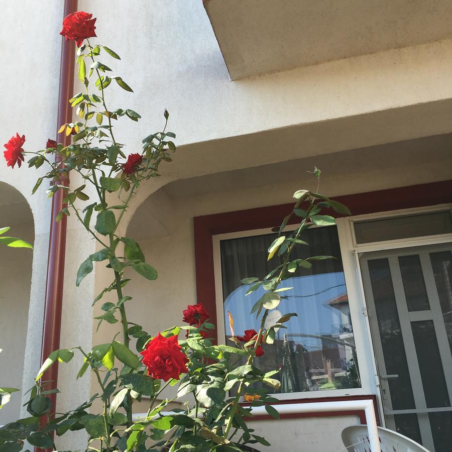 Vila Julia Costinesti Buitenkant foto